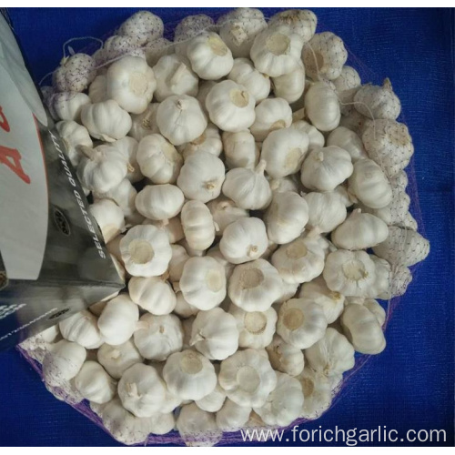 2019 Chinese Pure White Garlic From Jinxiang